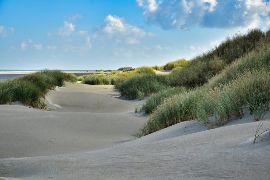 Zand strand en gras