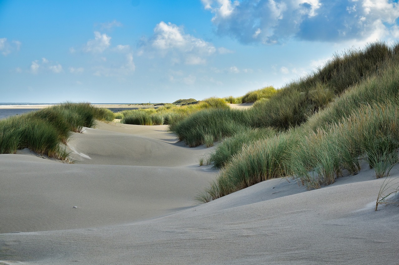 Zand strand en gras
